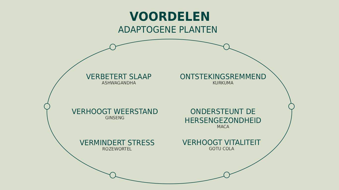 Infographic over de voordelen van adaptogene planten.
